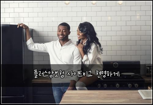 플러스암보험 사이트비교  현명하게