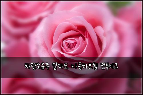 차량소유주 달라도 자동차보험 전부비교 