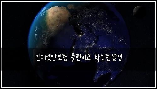 인터넷암보험 플랜비교  확실한설명