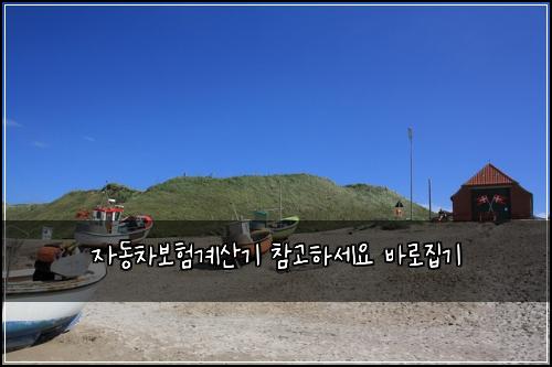 자동차보험계산기 참고하세요 바로집기