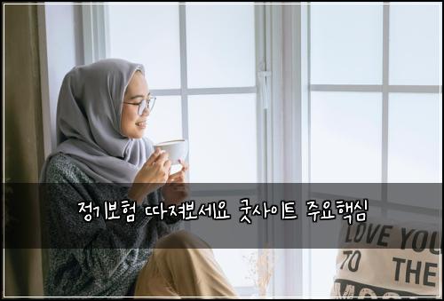 정기보험 따져보세요  굿사이트 주요핵심
