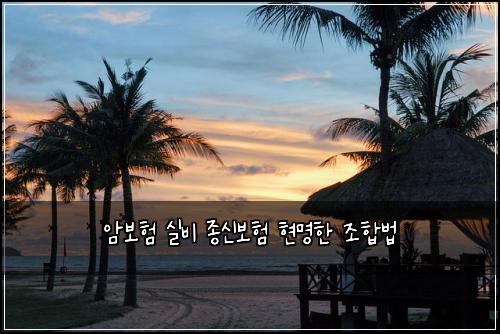 암보험 실비 종신보험 현명한 조합법