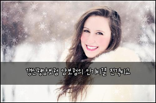 ๊ฐฑ์ ํ์๋ณดํ ์๋ณดํ์ ์ธ๊ธฐ๋น๊ฒฐ ์ ๊ฒฉ๋น๊ต