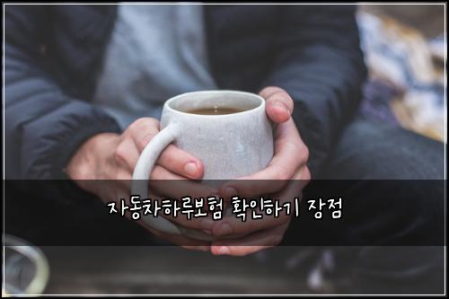 μλμ°¨ν루보ν νμΈνκΈ° μ₯μ 