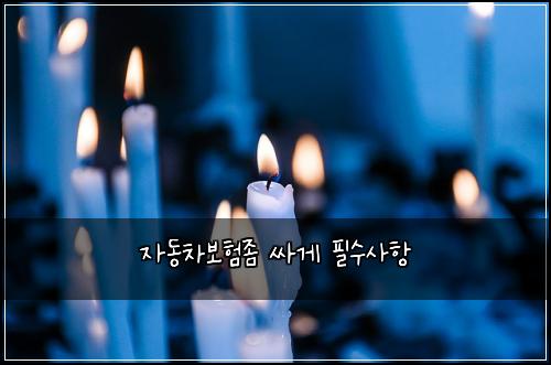 ์๋์ฐจ๋ณดํ์ข ์ธ๊ฒ ํ์์ฌํญ