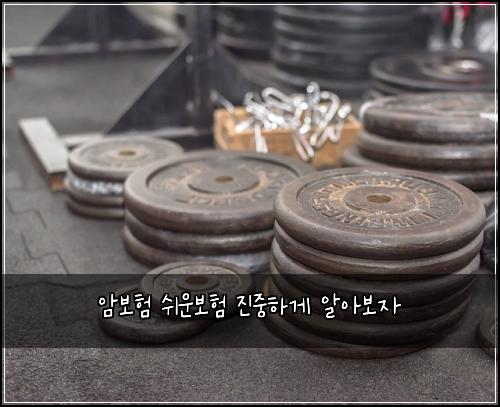 암보험 쉬운보험  진중하게 알아보자