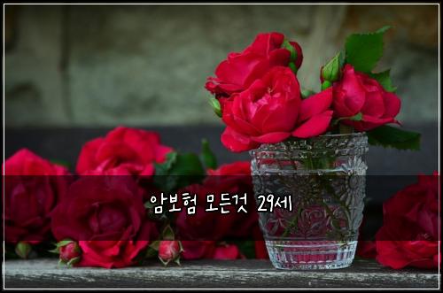 ์๋ณดํ ๋ชจ๋ ๊ฒ 29์ธ