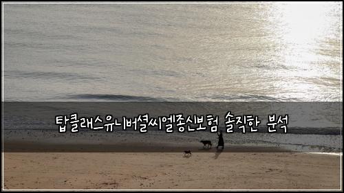탑클래스유니버셜씨엘종신보험 솔직한 분석