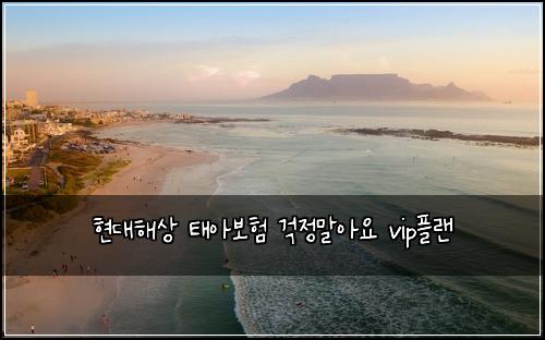 현대해상 태아보험 걱정말아요  vip플랜