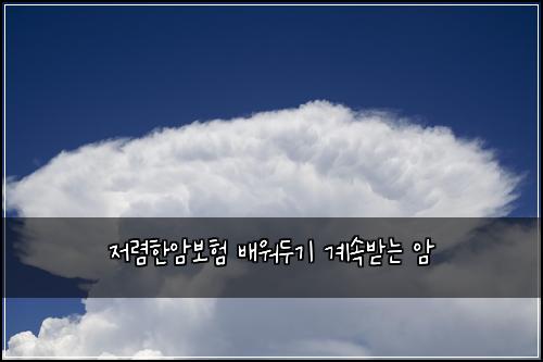 저렴한암보험 배워두기  계속받는 암