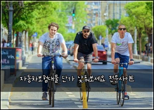 자동차보험대물 단가 낮춰보세요 전문사이트