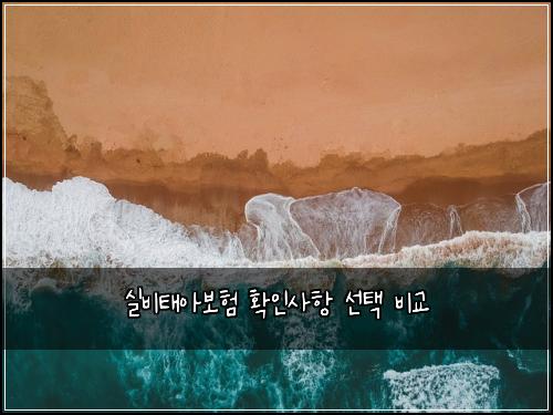 실비태아보험 확인사항  선택 비교