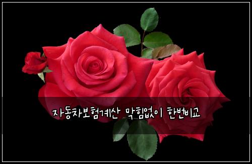 ์๋์ฐจ๋ณดํ๊ณ์ฐ ๋งํ์์ด ํ๋ฒ๋น๊ต