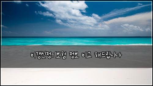 비갱신정기보험 정보  비교 해드립니다