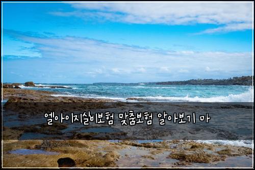 엘아이지실비보험 맞춤보험  알아보기 마